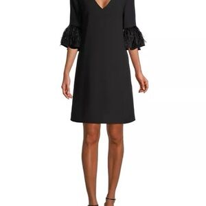 Elegant Black Dress with Feathered Sleeves